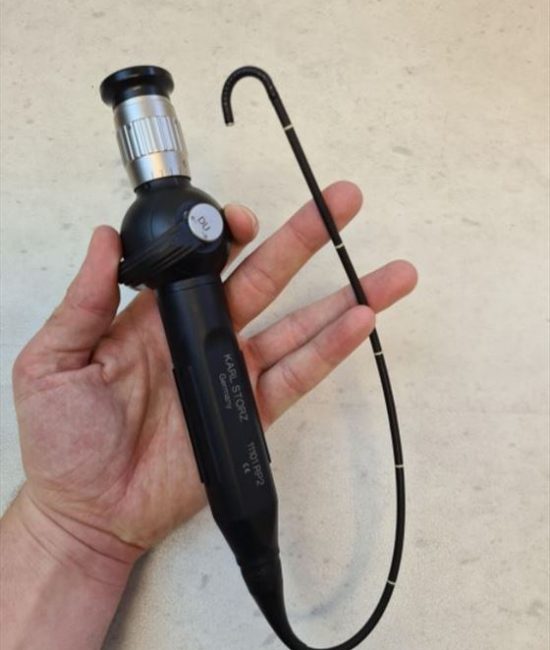 Pregled nosa, trećeg krajnika, ždrela, grkljana i glasnih zica fiber endoskopom najnovije generacije.